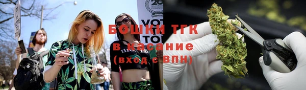 шишки Алексеевка