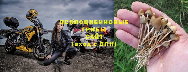 не бодяженный Алзамай
