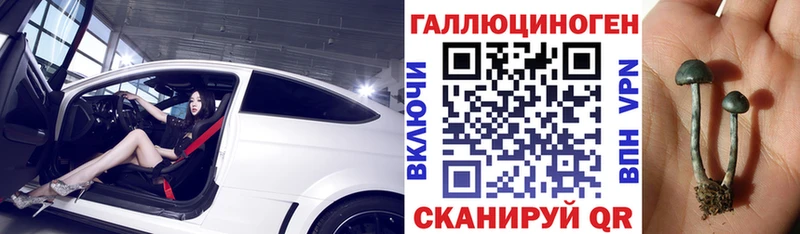 Псилоцибиновые грибы ЛСД дарк нет наркотические препараты Березники